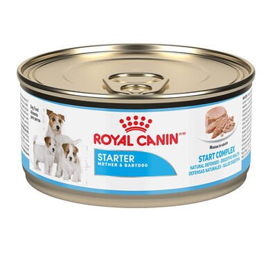 Royal Canin Starter Mousse Yavru Köpek Konservesi 195 GR - 4