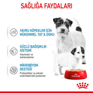 Royal Canin Starter Mousse Yavru Köpek Yaş Maması 195 GR - 6