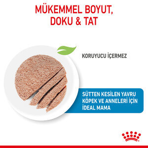 Royal Canin Starter Mousse Yavru Köpek Yaş Maması 195 GR - 2