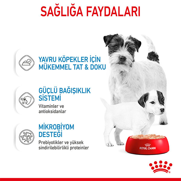 Royal Canin Starter Mousse Yavru Köpek Yaş Maması 195 GR - 6
