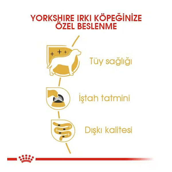 Royal Canin Yorkshire Terrier Yaş Maması 85 gr - 3
