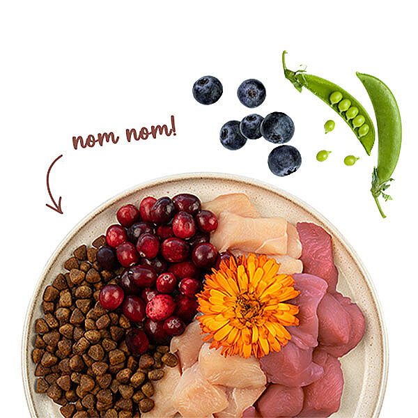 Sanabelle Glutensiz Kuzu Etli Sensitive Kedi Maması 2 kg - 3
