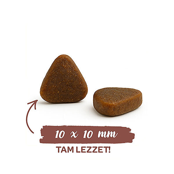 Sanabelle Glutensiz Kuzu Etli Sensitive Kedi Maması 2 kg - 4