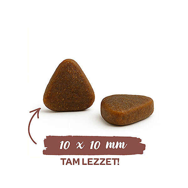 Sanabelle Glutensiz Kuzu Etli Sensitive Kedi Maması 2 kg - 4