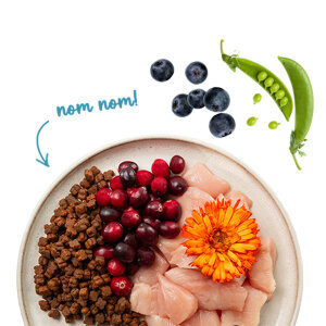 Sanabelle Glutensiz Yavru Kedi Maması 400 gr - 5