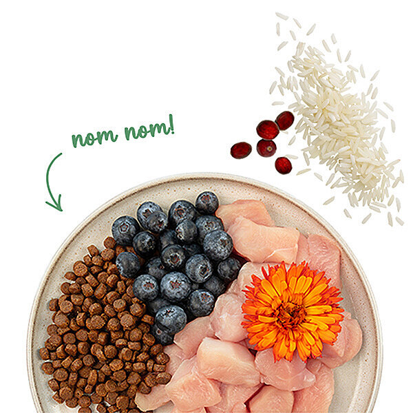 Sanabelle Grande Tahılsız Tavuklu Kedi Maması 400 Gr - 2
