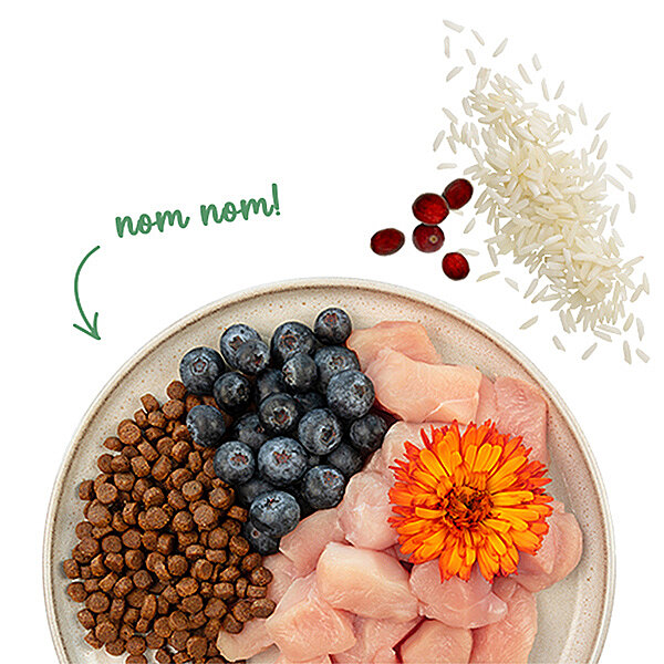 Sanabelle Grande Tahılsız Tavuklu Kedi Maması 400 Gr - 2