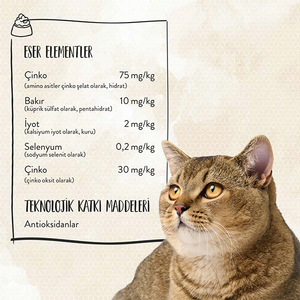Sanabelle Glutensiz Hair&Skin Kedi Maması 10 kg - 6