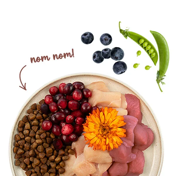 Sanabelle Indoor Gine Tavuğu ve Yaban Mersinli Yetişkin Kuru Kedi Maması 8 Kg - 7