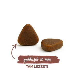 Sanabelle Indoor Gine Tavuğu ve Yaban Mersinli Yetişkin Kuru Kedi Maması 8 Kg - 2