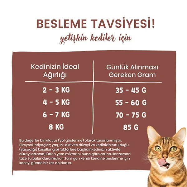 Sanabelle Indoor Gine Tavuğu ve Yaban Mersinli Yetişkin Kuru Kedi Maması 8 Kg - 5