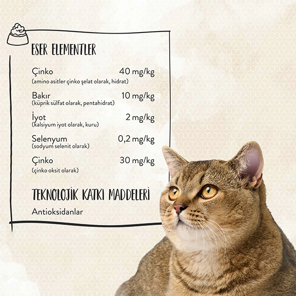 Sanabelle Glutensiz İndoor Kedi Maması 10 kg - 5