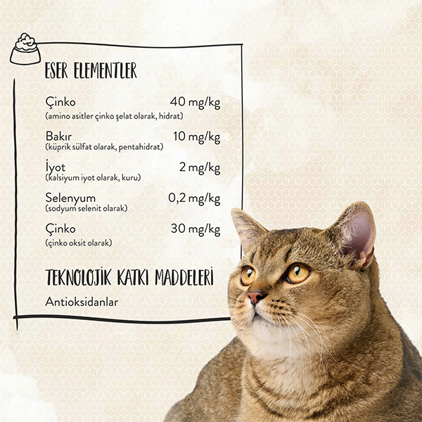 Sanabelle Glutensiz İndoor Kedi Maması 2 kg - 5