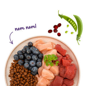 Sanabelle Life Adult Devekuşlu & Yaban Mersinli Kuru Kedi Maması 400 gr - 5