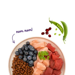 Sanabelle Life Adult Devekuşlu & Yaban Mersinli Kuru Kedi Maması 8 kg - 6