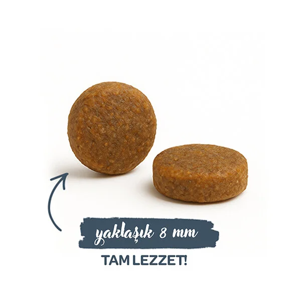 Sanabelle Life Alabalıklı ve Yaban Mersinli Yetişkin Kuru Kedi Maması 400 gr - 3