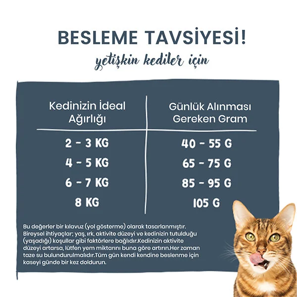 Sanabelle Life Alabalıklı ve Yaban Mersinli Yetişkin Kuru Kedi Maması 400 gr - 6
