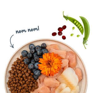 Sanabelle Life Alabalıklı ve Yaban Mersinli Yetişkin Kuru Kedi Maması 8 Kg - 9