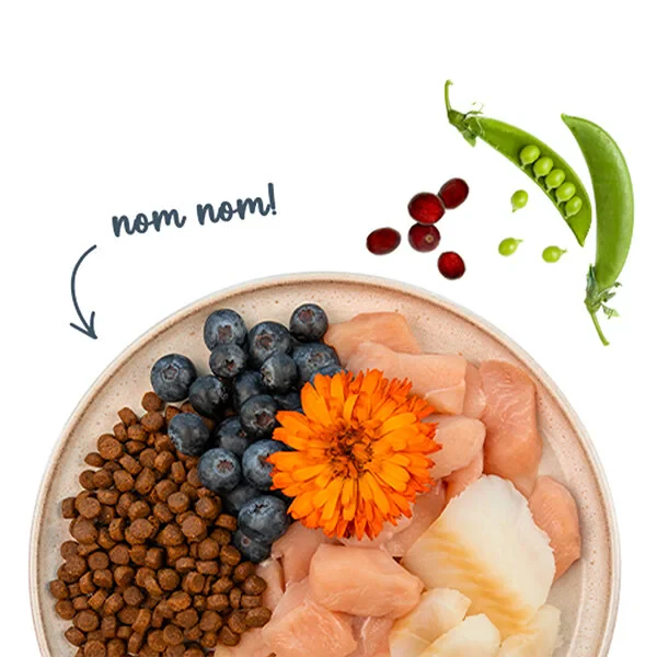 Sanabelle Life Alabalıklı ve Yaban Mersinli Yetişkin Kuru Kedi Maması 8 Kg - 9