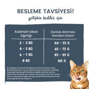 Sanabelle Life Alabalıklı ve Yaban Mersinli Yetişkin Kuru Kedi Maması 8 Kg - 7