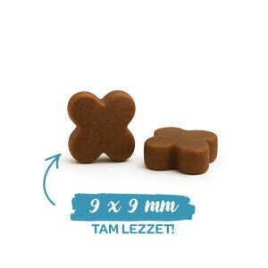 Sanabelle Life Kitten Tavuklu & Kızılcıklı Kuru Kedi Maması 8 kg - 3