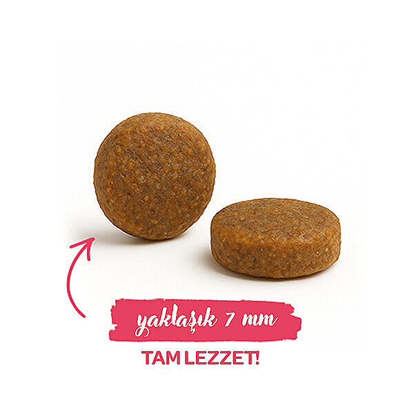 Sanabelle Life Tavuklu ve Yaban Mersinli Yetişkin Kuru Kedi Maması 2 Kg - 3
