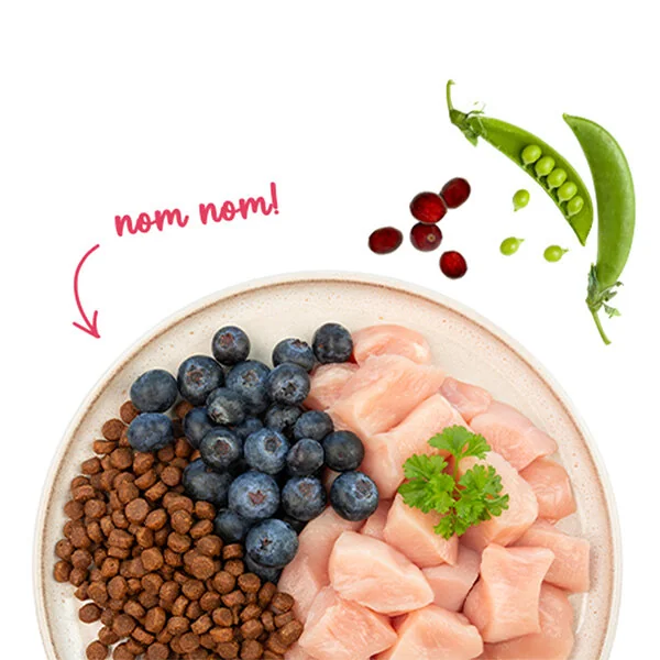 Sanabelle Life Tavuklu ve Yaban Mersinli Yetişkin Kuru Kedi Maması 400 gr - 5