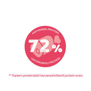 Sanabelle Life Tavuklu ve Yaban Mersinli Yetişkin Kuru Kedi Maması 400 gr - 4