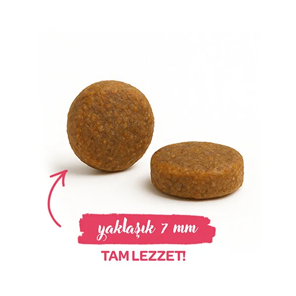 Sanabelle Life Tavuklu ve Yaban Mersinli Yetişkin Kuru Kedi Maması 400 gr - 3