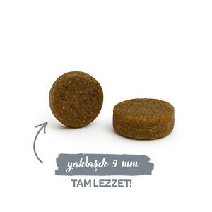 Sanabelle Light Düşük Kalorili Fazla Kilolu Kediler İçin Kuru Kedi Maması 8 Kg - 2