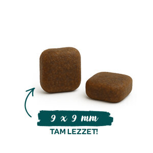 Sanabelle Outdoor Ördek Etli Yetişkin Kuru Kedi Maması 400 gr - 2