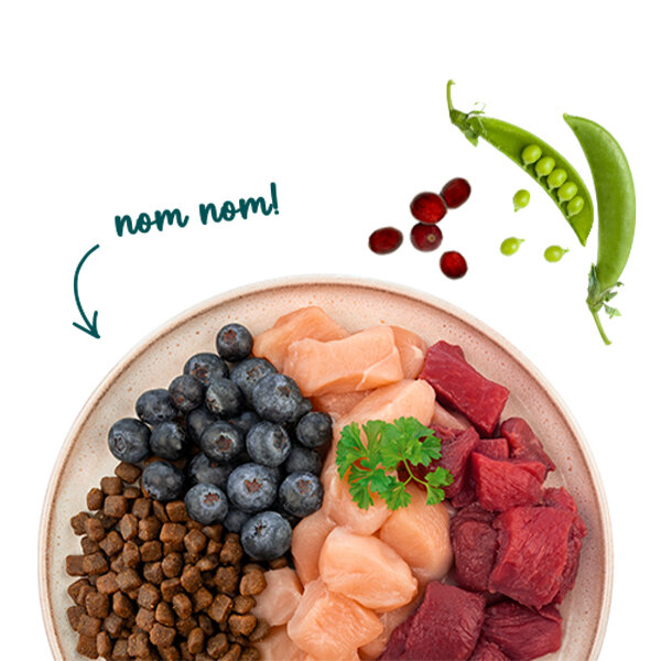 Sanabelle Outdoor Ördek Etli Yetişkin Kuru Kedi Maması 400 gr - 6