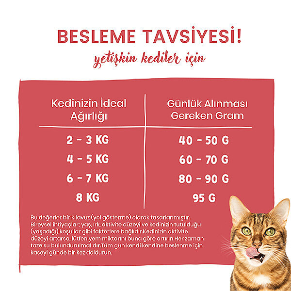 Sanabelle Senior Yaşlı Kedi Maması Kümes Hayvanlı 400 Gr - 2