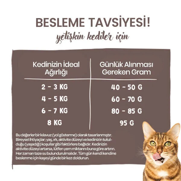 Sanabelle Sensitive Glutensiz Kuzu Etli Kedi Maması 400 gr - 6
