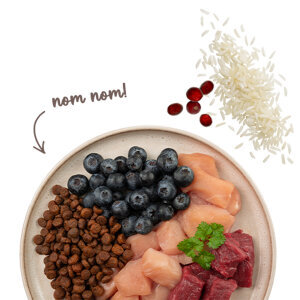 Sanabelle Sensitive Glutensiz Kuzu Etli Kedi Maması 400 gr - 3