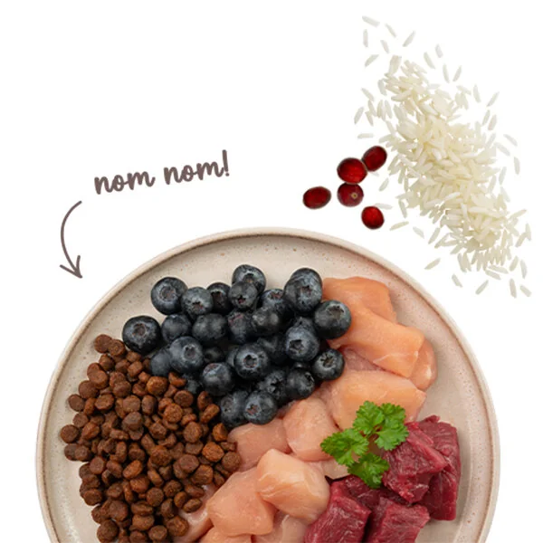 Sanabelle Sensitive Glutensiz Kuzu Etli Kedi Maması 400 gr - 3