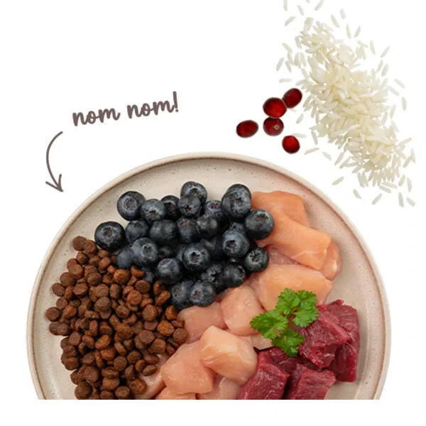 Sanabelle Sensitive Glutensiz Kuzu Etli Kedi Maması 8 kg - 4