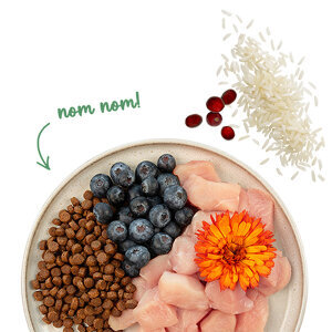 Sanabelle Sensitive Tavuklu ve Yaban Mersinli Yetişkin Kuru Kedi Maması 400 gr - 5