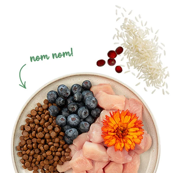 Sanabelle Sensitive Tavuklu ve Yaban Mersinli Yetişkin Kuru Kedi Maması 400 gr - 5