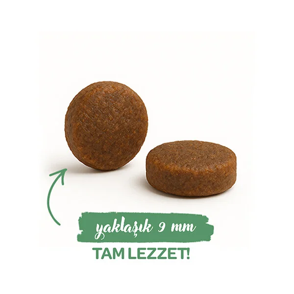 Sanabelle Sensitive Tavuklu ve Yaban Mersinli Yetişkin Kuru Kedi Maması 400 gr - 3