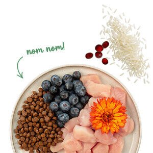 Sanabelle Sensitive Tavuklu ve Yaban Mersinli Yetişkin Kuru Kedi Maması 8 Kg - 8