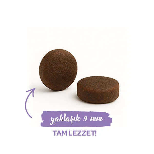 Sanabelle Sterilised Kısırlaştırılmış Kediler İçin Yetişkin Kuru Kedi Maması 8 Kg - 4