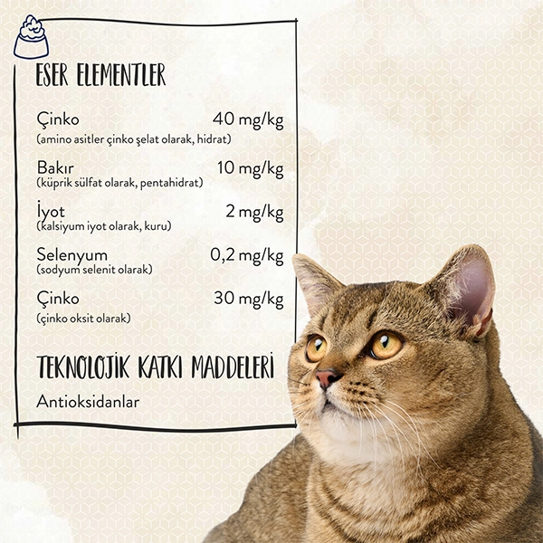 Sanabelle Glutensiz Balıklı Yetişkin Kedi Maması 10 kg - 5