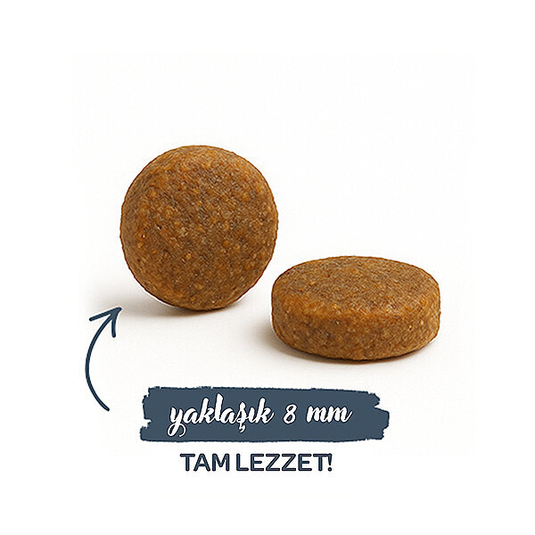 Sanabelle Glutensiz Balıklı Yetişkin Kedi Maması 2 kg - 5