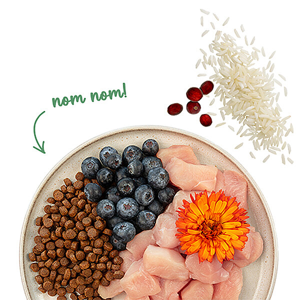 Sanabelle Tahılsız No Grain Kedi Maması 2 kg - 3