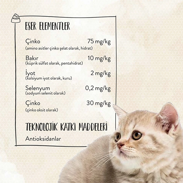 Sanabelle Glutensiz Yavru Kedi Maması 2 kg - 6