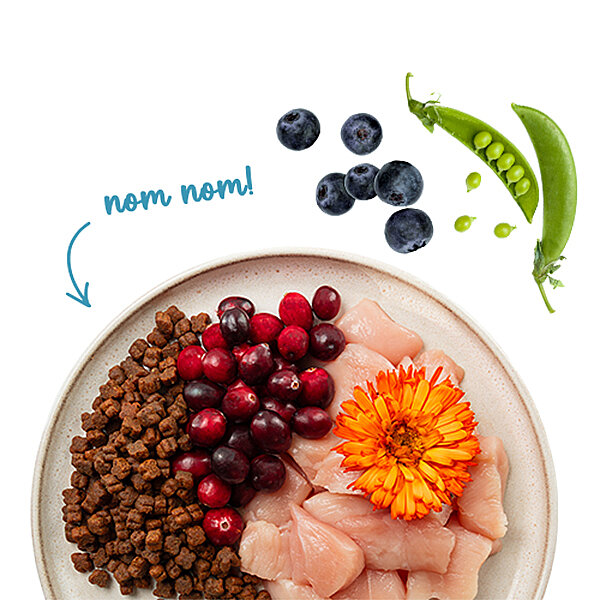 Sanabelle Glutensiz Yavru Kedi Maması 2 kg - 3