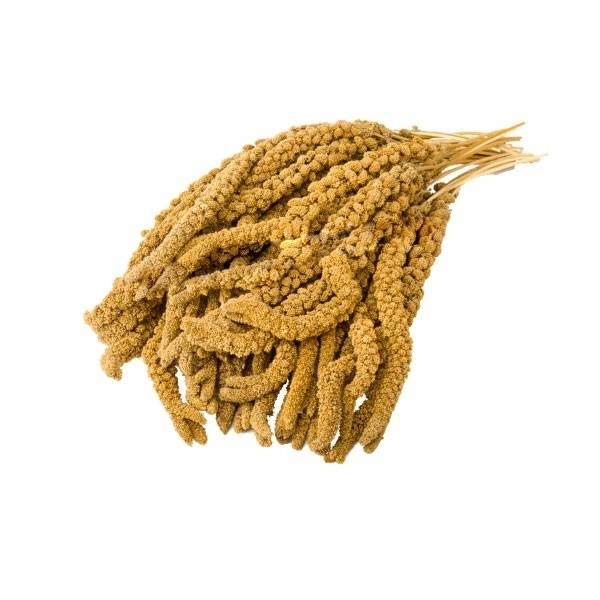 Sarı Dal Darı 1 Kg - 1