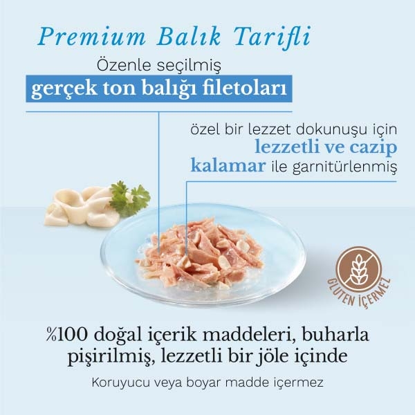 Schesir Ton Balıklı ve Kalamarlı Jöle İçinde Tamamlayıcı Yetişkin Kedi Yaş Maması 85 g - 4