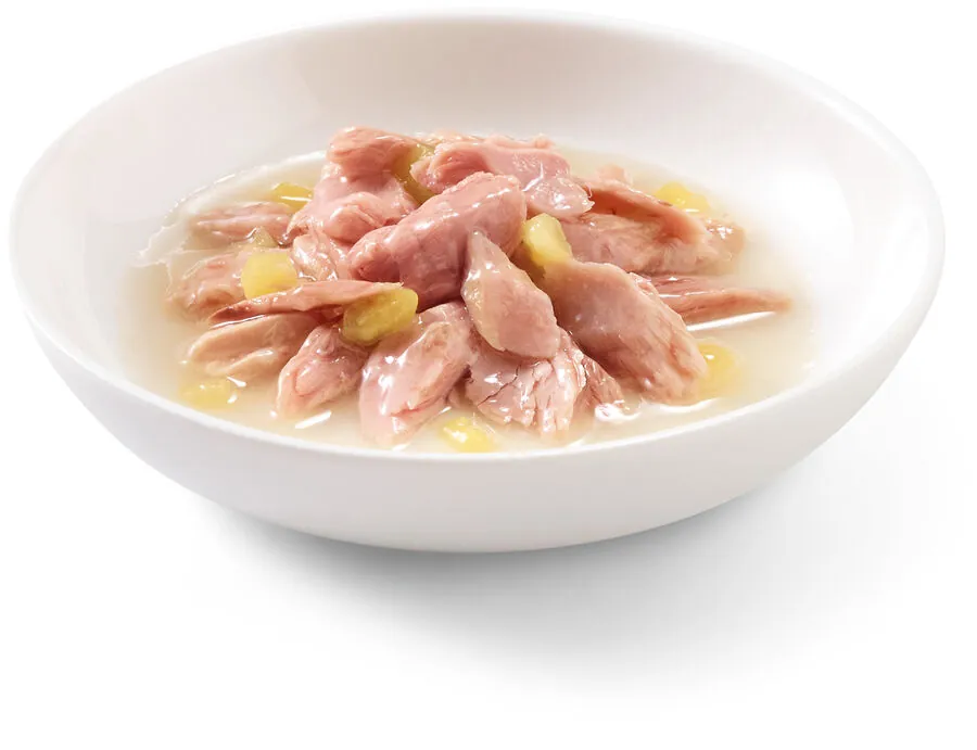 Schesir Ton Balıklı ve Mangolu Kedi Konservesi 75 GR - 3